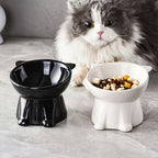 CatNest Bowl