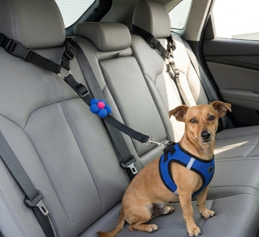 NestRide Dog Belt