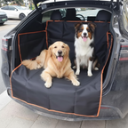CargoPaws